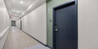 Tecoma Square Gallery 16