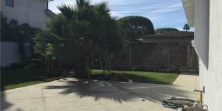 2408 Carlton Gallery 11
