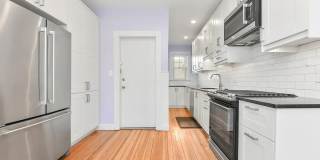 87 Browne St Gallery 28