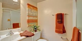 Cinnamon Run at Peppertree Farm Gallery 19