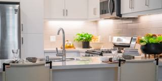 Altura at the Groves Gallery 31