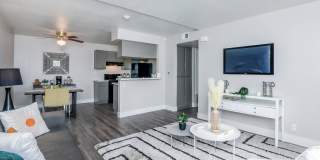 Aspire of the High Desert Gallery 15