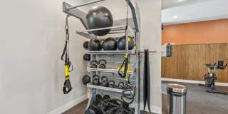 The Sophia Gallery 28