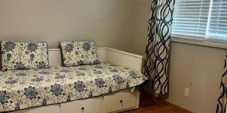 3755 Via Poinciana Gallery 22