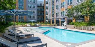 The Alder Gallery 43