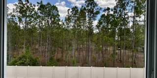 2329 Lesser Goldfinch Dr Gallery 17