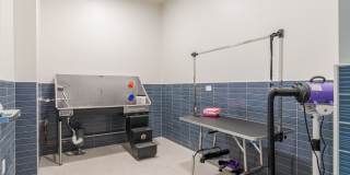 Lore Salem Gallery 37