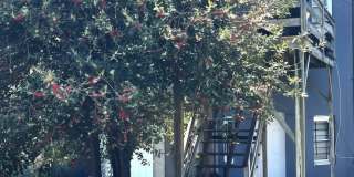 712 Lennox Str - 2 Gallery 11