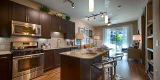 Pearl City Centre Gallery 47