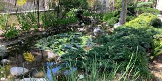 $3,295! Charming 2-Bed, 2-Bath Corner Unit in Gated Culver City Community! Gallery 25