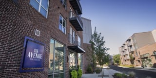 Avenue Madison Gallery 48