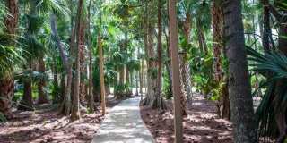 13065 Albright Court Gallery 23