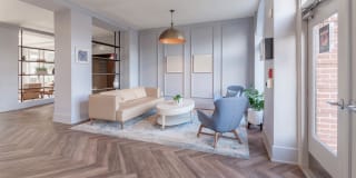 Sheffield Court Gallery 11