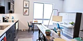 Centric Centric Gallery 14