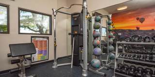 Puerta Del Sol Gallery 17