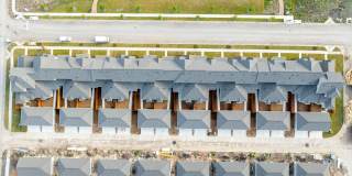 Mihir Taylor Gallery 37