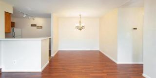 7504 ASHBY Lane Gallery 2