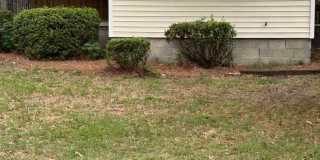 Home for rent Home for rent Gallery 1