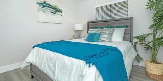 Solara Apartments Gallery 12