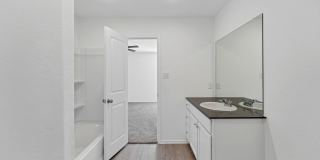 332 Elephants Ear Gallery 12