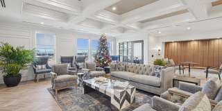 Society at Laurens Gallery 44