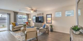 Shadow Bay Gallery 7