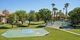 Desert Oasis Gallery 17