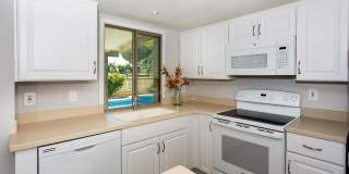 7232 S LA ROSA Drive Gallery 1