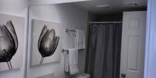 LP1 Research - #1000 Gallery 11