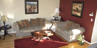 5250 Ballycastle Cir Gallery 10