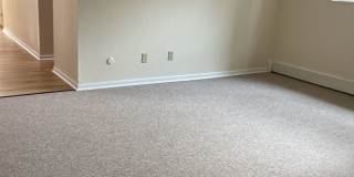 Graduate and Professional Gallery 82