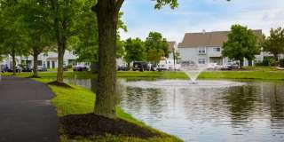 Hamilton Greene Gallery 11