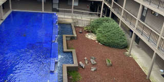 350 13th Street Northeast Gallery 18