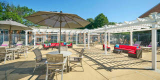Newport Village Gallery 42