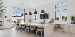 Stirling at Cota Vera Gallery 4
