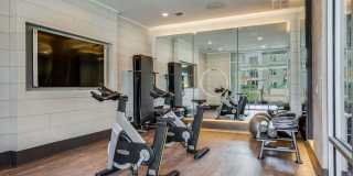 Trailhead Gallery 37