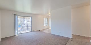 Orchard Gardens  (OG) Gallery 2