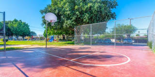 Laurel Heights Gallery 7