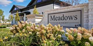 Meadows at Sunbury Gallery 37
