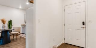 Pioneer - South Gallery 1