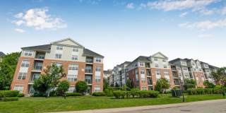 Sofi Lyndhurst Gallery 52