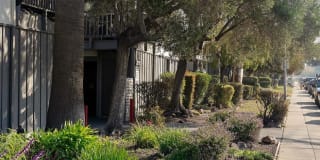 Bay Terrace Gallery 3