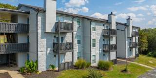 Amalie Apartment Homes Gallery 35