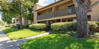 Elan Casa Mar Gallery 4