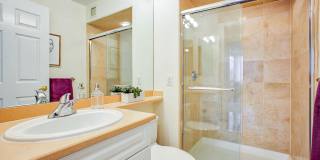 Windsor at Mariners Gallery 23