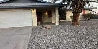 2850 Star Dr Gallery 10
