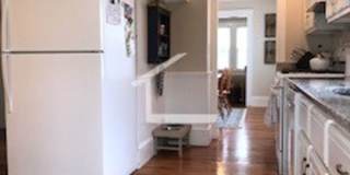 Nice 3 bed in Somerville Gallery 18