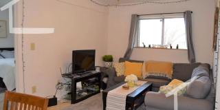 Great 2-bed with Pool!  Ht + HW Incl., 2 Parking Spots Included.  Cat Friendly Gallery 5