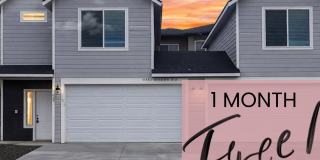 1 MONTH FREE WHEN YOU SIGN A 15 MONTH LEASE! BRAND NEW TOWNHOME IN THE DESIRABLE SOUTHRIDGE AREA! Gallery 1