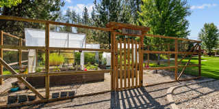 Pine Valley Ranch Gallery 18